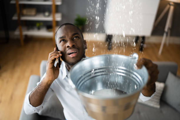 Best Water damage restoration near me  in Braska City, NE