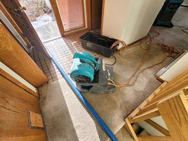Best Mold removal after water damage  in Braska City, NE