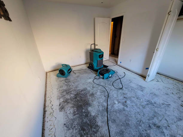 Best Flood damage cleanup  in Braska City, NE