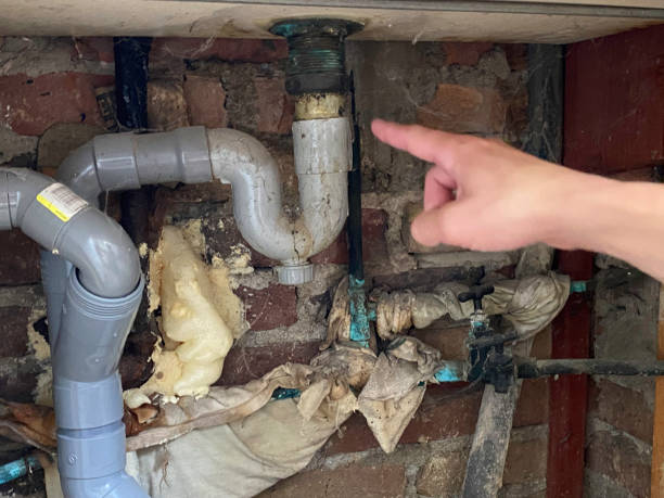Best Water damage cleanup near me  in Braska City, NE